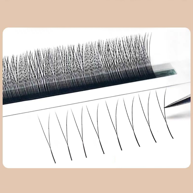 MARIA 2D Y Shape Eyelashes Han – обзор и цена Eyelash Extension For Asian Eyes